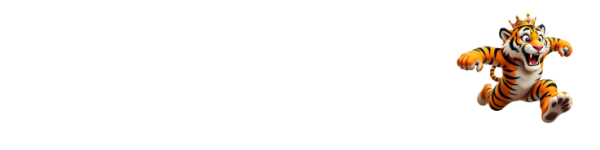 6566